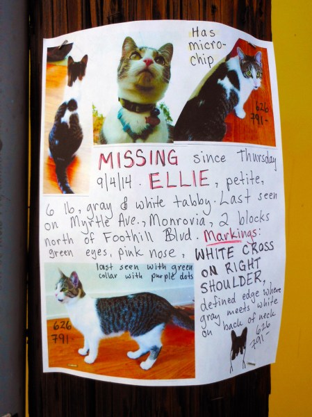 15257501445_6feef35fb6_b