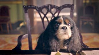 KYywIyP-asset-mezzanine-16x9-euoHPiY.jpg.fit.344x192