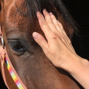 2019 07.26 Lulu & my hand copy